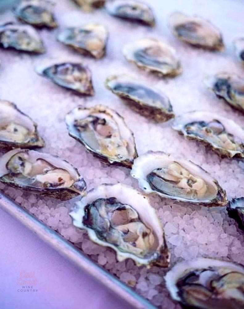 Fresh oysters on ice display on tray.